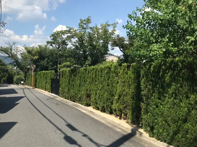 男女2人チームでお伺い！明るく親しみやすいスタッフが対応！サービスの画像