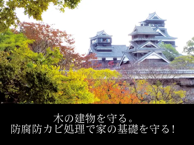 ✳10万店中TOP403の信頼感✳熊本城でも使用❣信頼の白蟻駆除で安心☘サービスの画像
