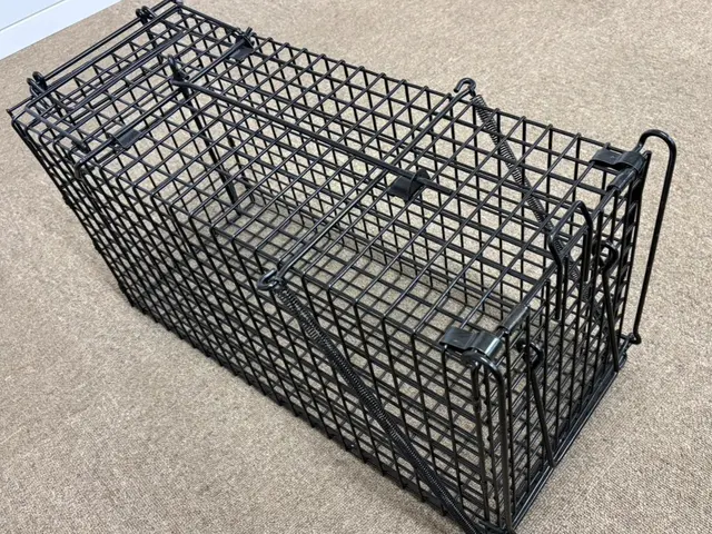 害獣駆除（ハクビシン、アライグマ、イタチ等）施工からアフターフォローまで丁寧に！サービスの画像