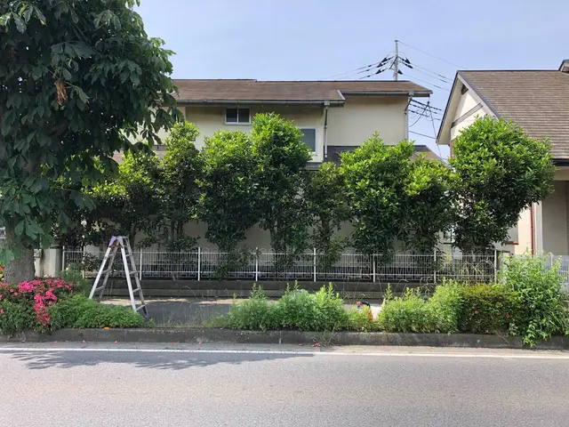 【女性スタッフ同行可能】外注作業一切ございません！ご相談もお気軽に◉サービスの画像