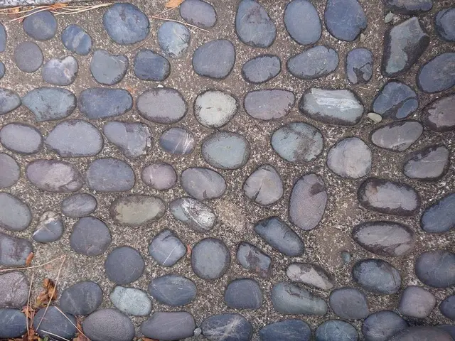 【女性スタッフ同行可能】外注作業一切ございません！ご相談もお気軽に◉サービスの画像