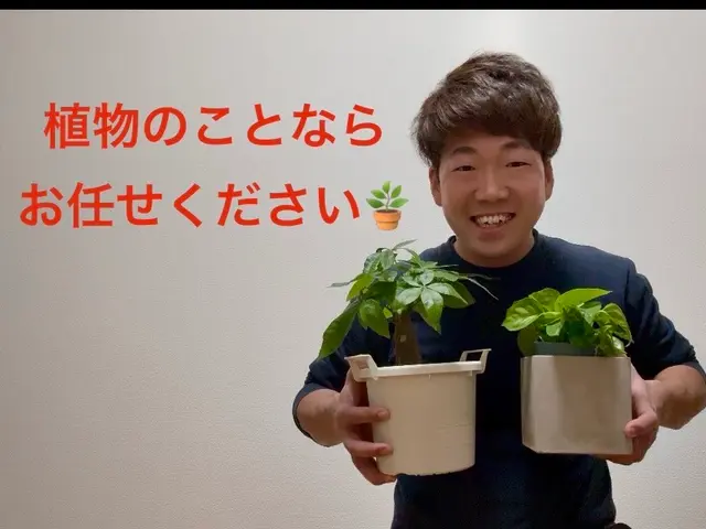 ◆僕に依頼すると【良いことあります】◆作業実績90件以上◆3/19から対応可能サービスの画像