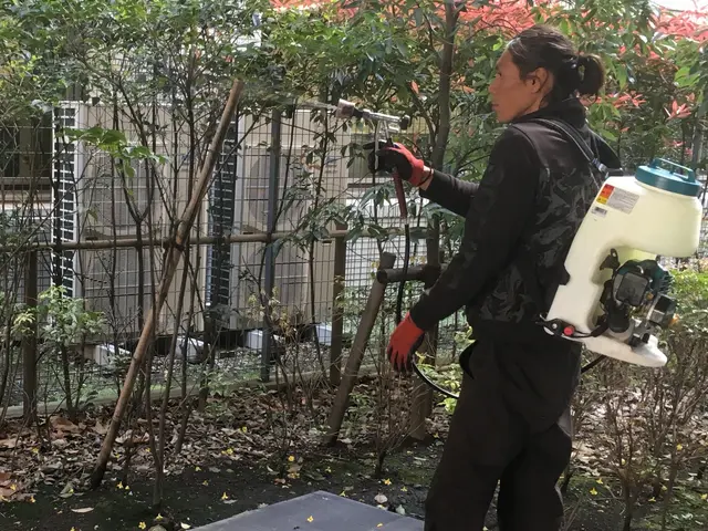 お客様のお力になります！経験と知識を活かして迅速丁寧に作業いたします！サービスの画像