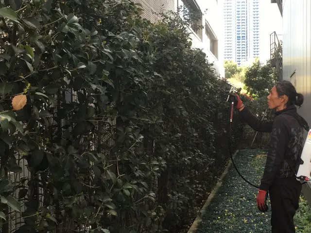 お客様のお力になります！経験と知識を活かして迅速丁寧に作業いたします！サービスの画像