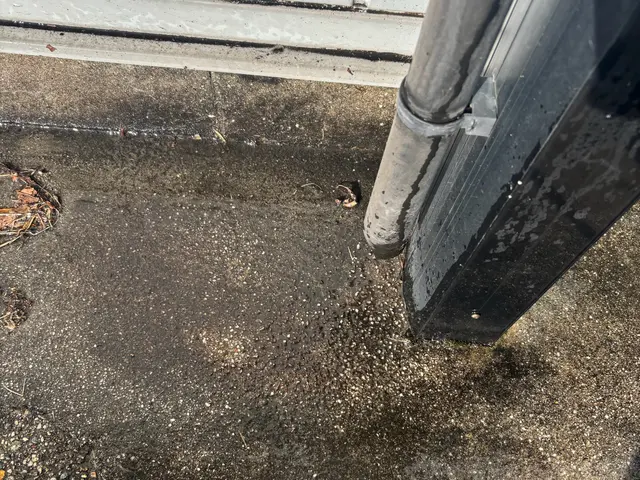 玄関まわりの印象アップ！黒ずみ・コケ・タイヤ跡をスッキリ洗浄！サービスの画像