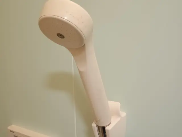 即日対応！シャワーヘッド交換★サービスの画像