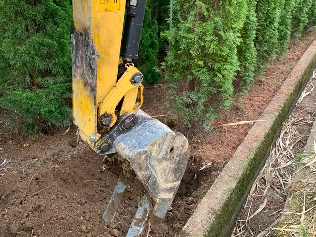 植木生産者の植栽・移植工事！造園施工管理技士が対応。サービスの画像