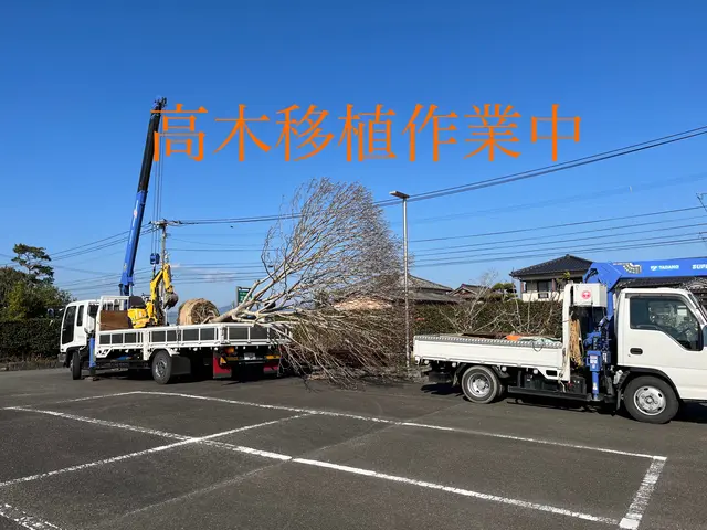 植木生産者の植栽・移植工事！造園施工管理技士が対応。サービスの画像