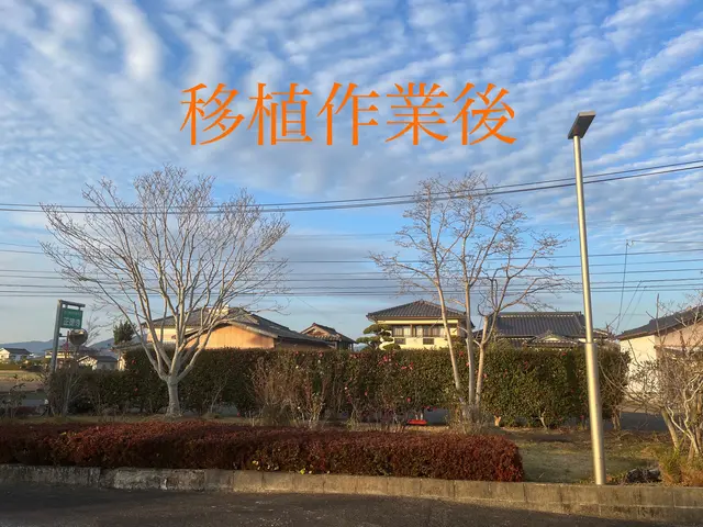 植木生産者の植栽・移植工事！造園施工管理技士が対応。サービスの画像