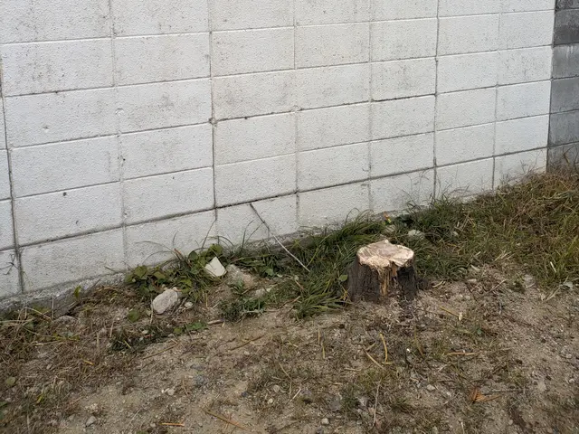 ◆予約から施工まで100%自社対応◆駐車代お店負担◆迅速丁寧に対応しますサービスの画像