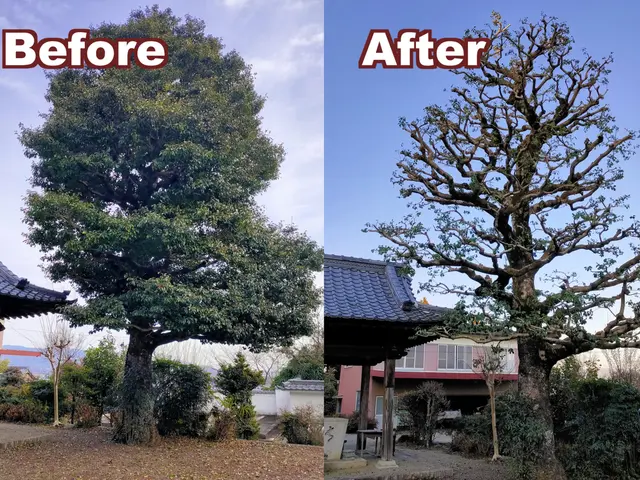 かとう造園【亀山市、鈴鹿市、四日市市、津市】一度ご相談ください。見積り無料サービスの画像