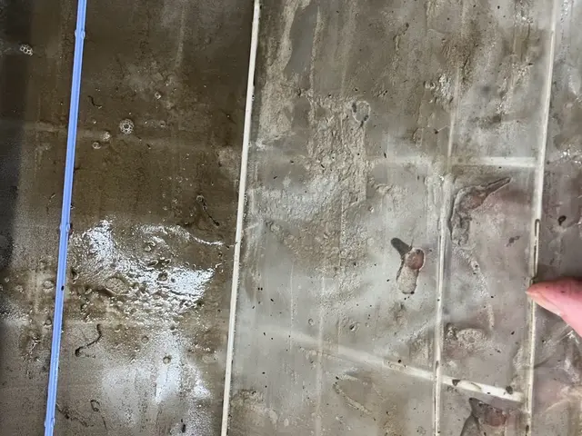 【お掃除機能付きも完璧作業！】　女性スタッフ派遣可能！ 複数台割引ご相談くださいサービスの画像