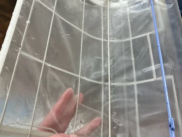 【お掃除機能付きも完璧作業！】　女性スタッフ派遣可能！ 複数台割引ご相談くださいサービスの画像