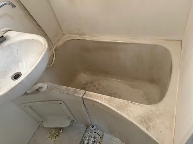 【子供/ペットの安全に特化】大手FC店◉2000件の実績◉自社開発洗剤で安心安全サービスの画像