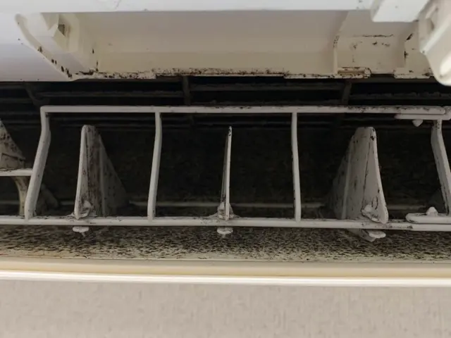 ◆コロナ対策済◆ ◆消臭抗菌コート◆タバコのヤニ・黒カビ　どんな汚れも落とす！サービスの画像