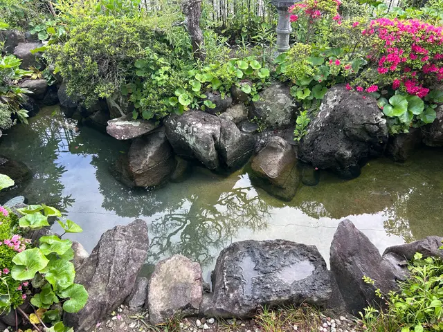 本業は植木屋　池のお掃除もお任せください！サービスの画像