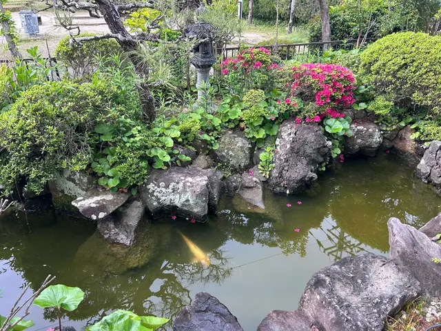 本業は植木屋　池のお掃除もお任せください！サービスの画像