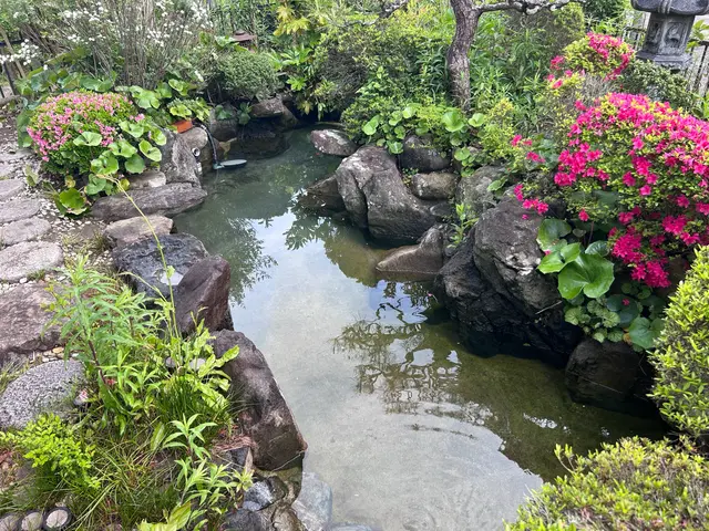 本業は植木屋　池のお掃除もお任せください！サービスの画像