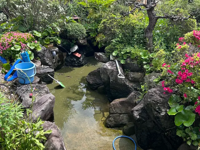 本業は植木屋　池のお掃除もお任せください！サービスの画像