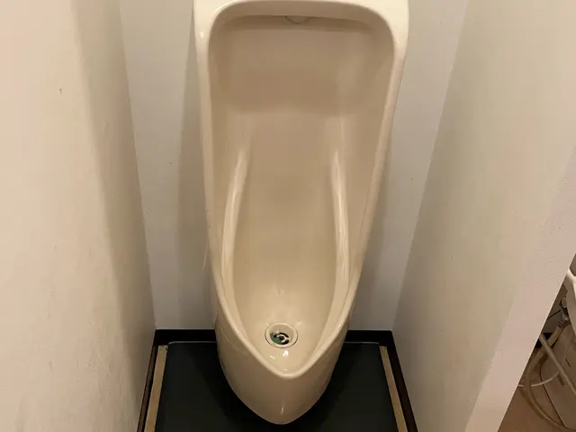 全国300店舗以上展開する掃除会社が徹底洗浄。カビや便座の汚れの他タンクまで清掃サービスの画像