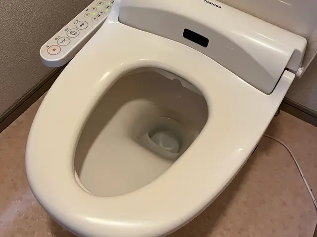 全国300店舗以上展開する掃除会社が徹底洗浄。カビや便座の汚れの他タンクまで清掃サービスの画像