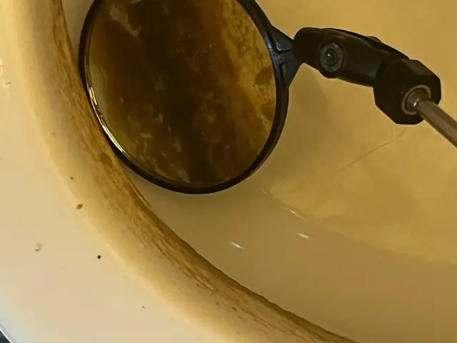 全国300店舗以上展開する掃除会社が徹底洗浄。カビや便座の汚れの他タンクまで清掃サービスの画像