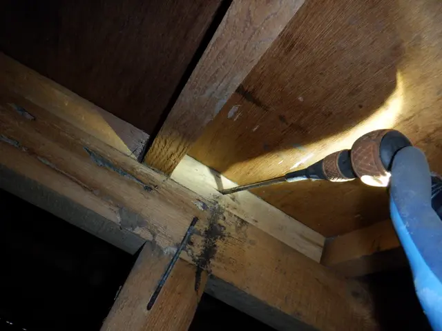 【業歴10年の実績】駐車場代当店負担◎年中無休◎アフターフォローも万全サービスの画像