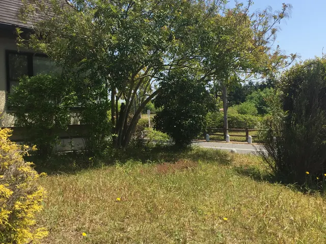 ＜大分県から出向します＞大工10年、造園10年、木が大好きです！なんでも相談OKサービスの画像