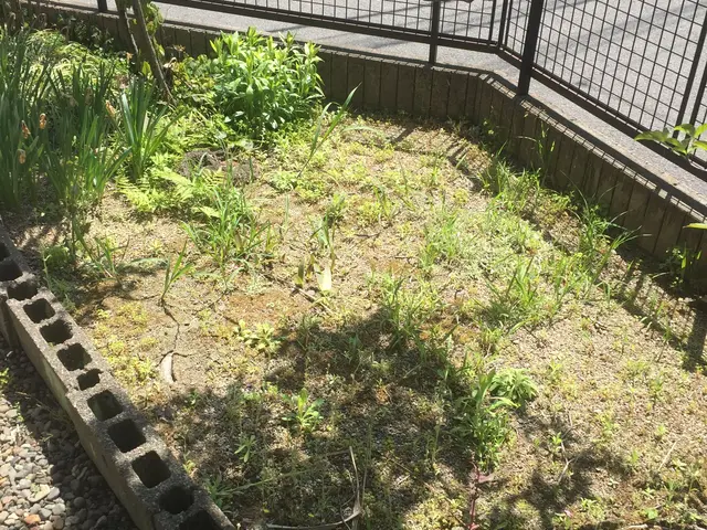 ＜大分県から出向します＞大工10年、造園10年、木が大好きです！なんでも相談OKサービスの画像