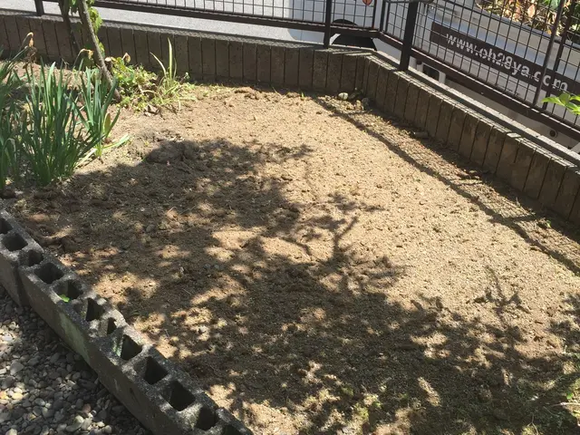 ＜大分県から出向します＞大工10年、造園10年、木が大好きです！なんでも相談OKサービスの画像