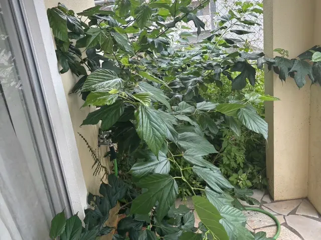 作業外注一切なし◎豊富な経験と知識で安心！当店へお任せください！サービスの画像