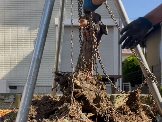 庭木の撤去・伐採。適切な価格で作業!まずはお気軽にお問い合わせください。サービスの画像