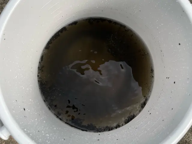 ◆地域密着店◎大手業務経験豊富◎営業時間外も対応可能サービスの画像