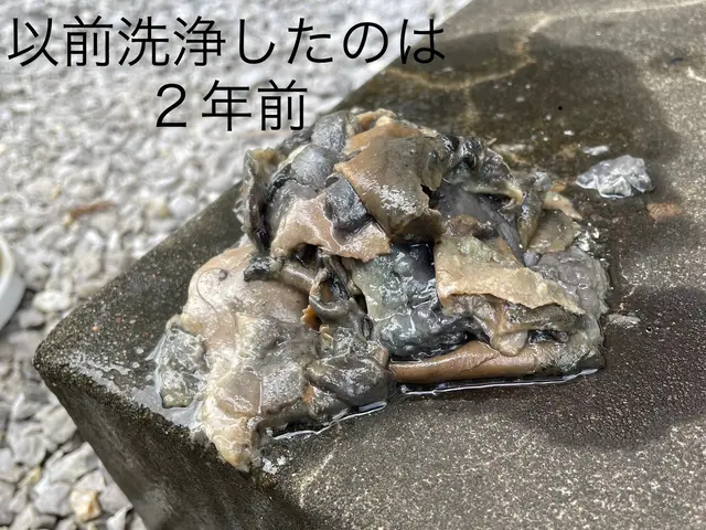 《追加料金・作業外注なし》安心の保険加入済み！お気軽にご相談くださいサービスの画像