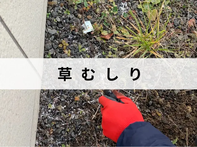 草むしりはお任せ下さい！10㎡以上もご相談下さい！エリア外も対応可能な場合有り！サービスの画像