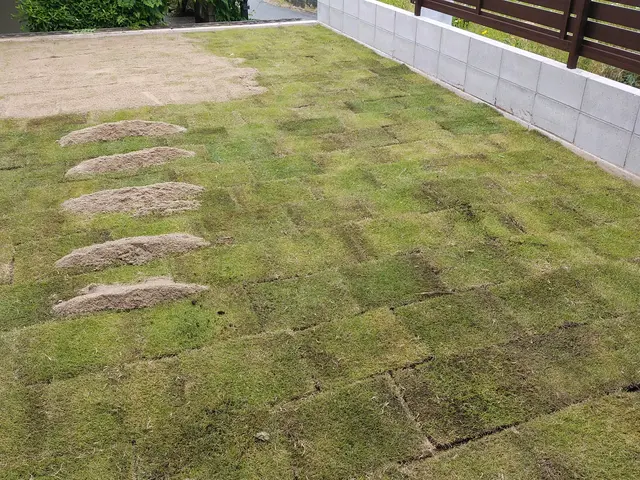 緑を取り入れて庭をキレイにします。時間外対応！サービスの画像