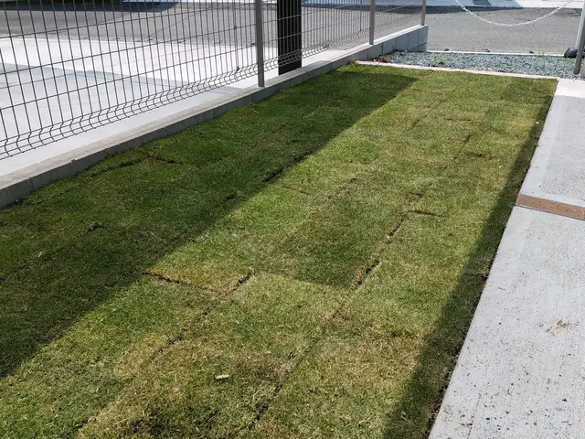 緑を取り入れて庭をキレイにします。時間外対応！サービスの画像