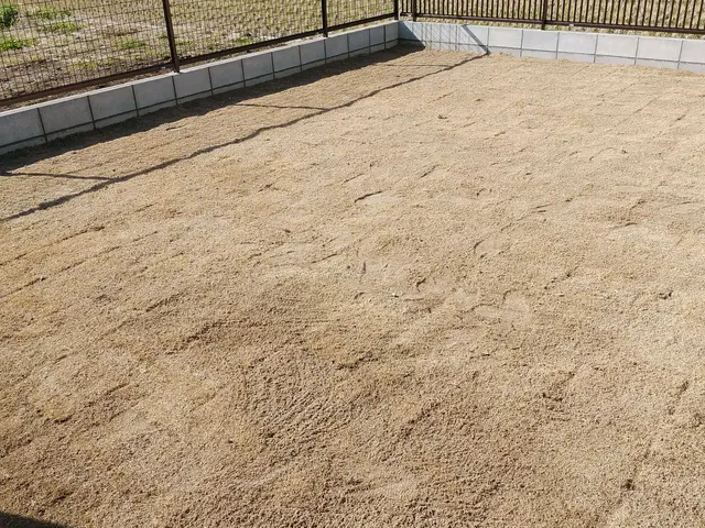 緑を取り入れて庭をキレイにします。時間外対応！サービスの画像