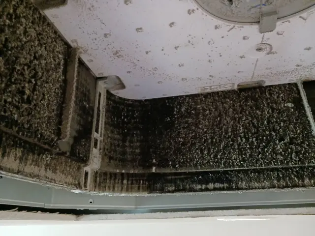 【そろそろやろうかな？そんな依頼増えてます！】埋め込みエアコンクリーニングサービスの画像