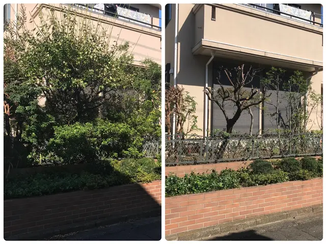 庭木の剪定から外構工事まで承っております♫  小さなお悩みでもお聞かせください☆サービスの画像