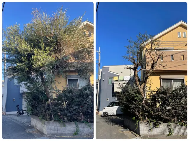 庭木の剪定から外構工事まで承っております♫  小さなお悩みでもお聞かせください☆サービスの画像