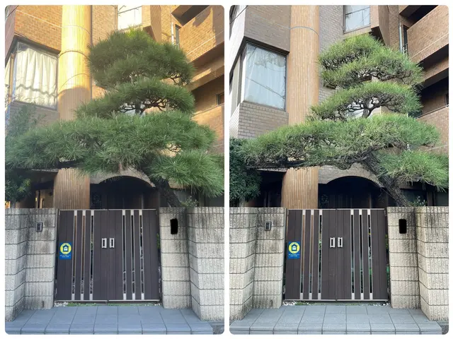 庭木の剪定から外構工事まで承っております♫  小さなお悩みでもお聞かせください☆サービスの画像