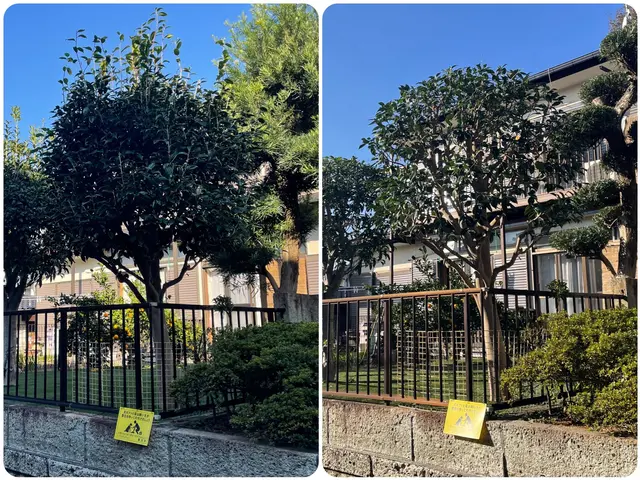 庭木の剪定から外構工事まで承っております♫  小さなお悩みでもお聞かせください☆サービスの画像