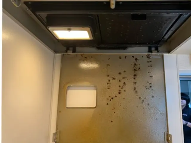 ◎予約から作業まで100%自社対応◎駐車場代当店負担◎アフターフォローも万全☆サービスの画像