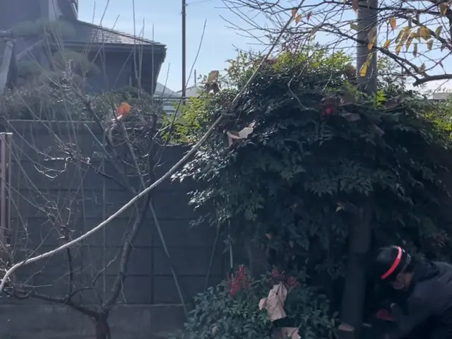 丁寧すぎる！？　植木の伐採・抜根は山本企画へ！サービスの画像