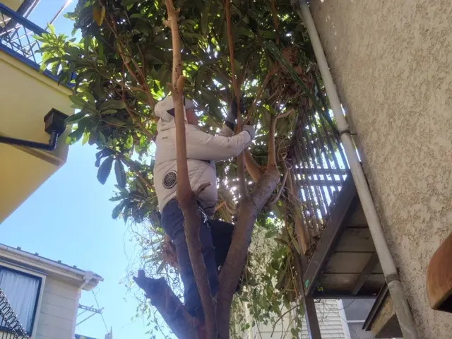 丁寧すぎる！？　植木の伐採・抜根は山本企画へ！サービスの画像