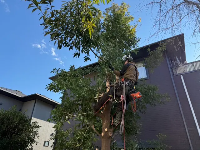 【累計1000件以上】環境配慮★即日相談可/損害保険加入/時間外・地域外相談可サービスの画像