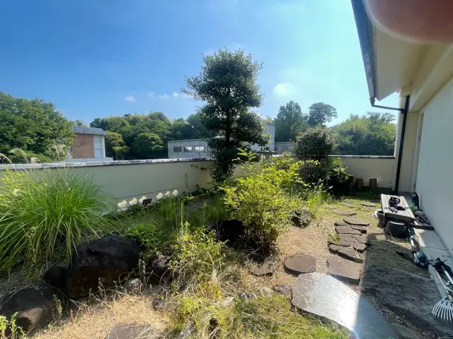 根から丁寧に草むしりを行います！出店記念キャンペーンにつき地域最安値に挑戦中！サービスの画像