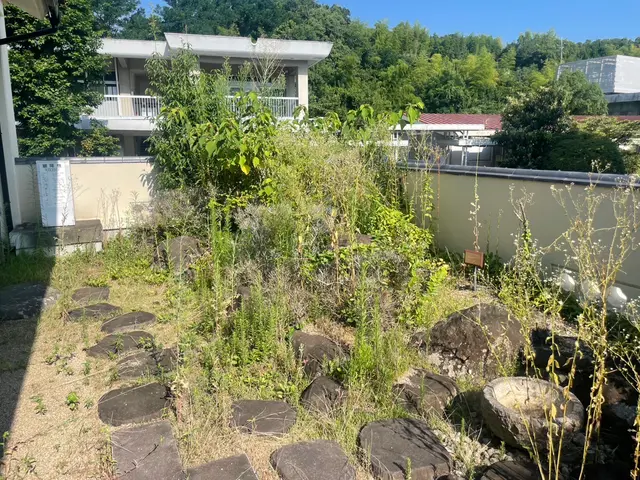 根から丁寧に草むしりを行います！出店記念キャンペーンにつき地域最安値に挑戦中！サービスの画像