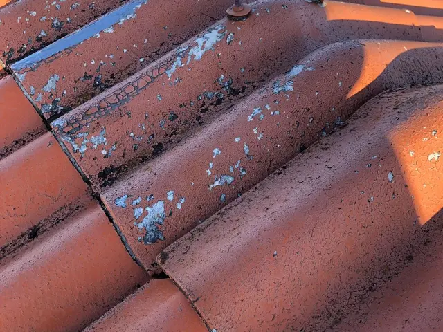 ★PayPay可能★【一級塗装技能士が施工】愛知県で３0年の実績◆完全自社施工◆サービスの画像